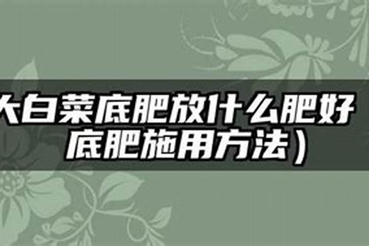 大白菜施肥用什么肥好
