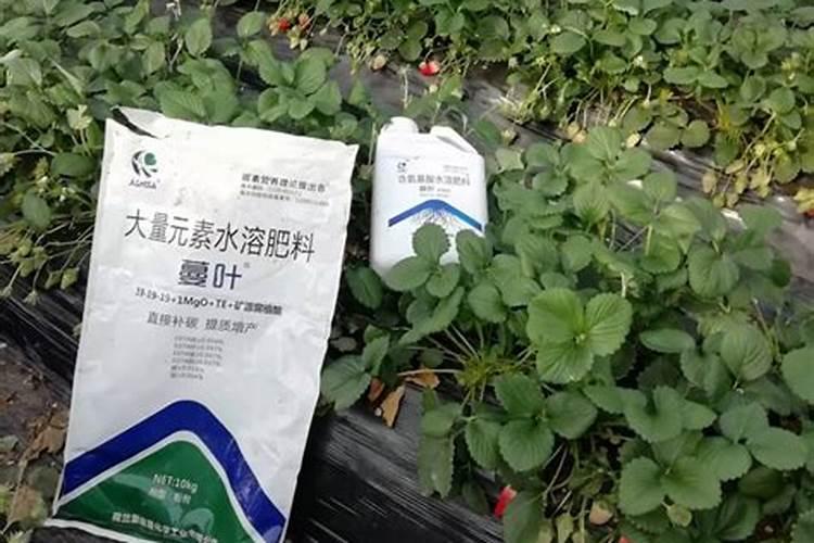 水溶性磷肥有哪些