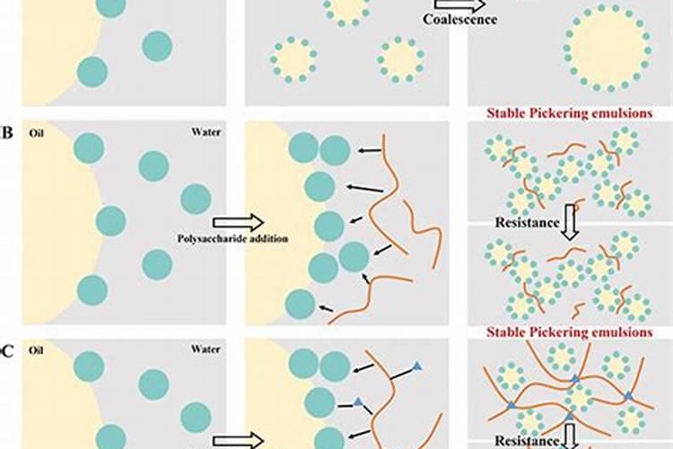 中药材壮根肥什么时候施肥,白芨一次冲施多少肥料合适!