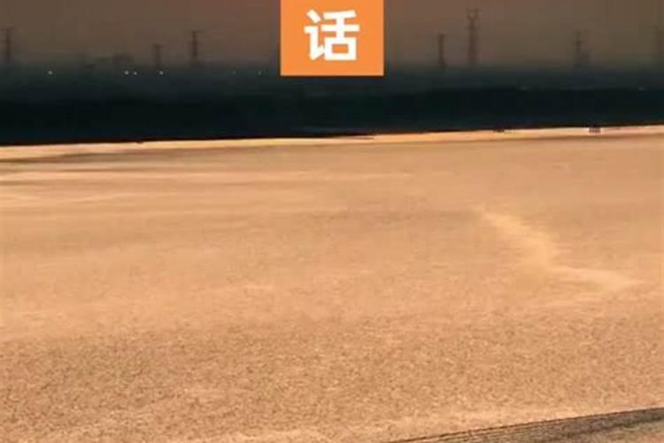 马保国的招式不包括哪招？