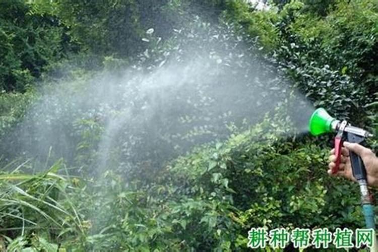 如何合理选用微生物肥料