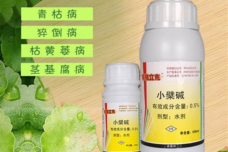 番茄得了青枯病有什么药可以治疗？