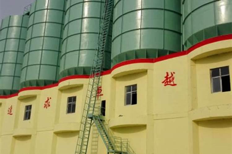 河北平乡特产:滏河贡白菜