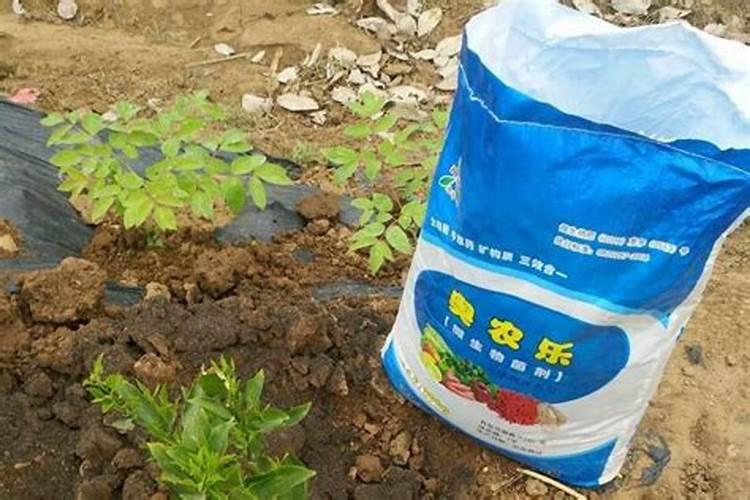 磷酸二氢钾能和生物菌肥一起用吗