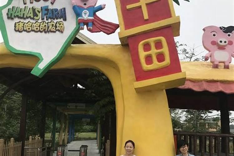 哈哈农庄能缴电费吗？