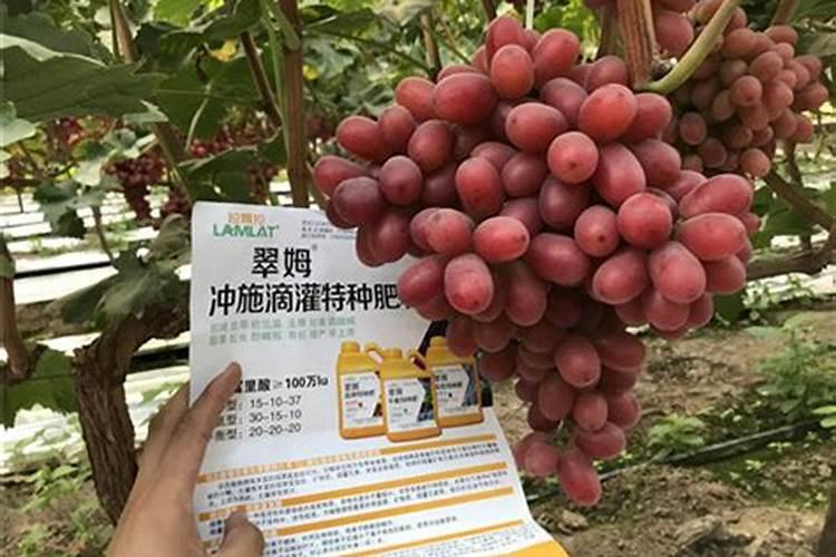 水溶肥微量元素标准
