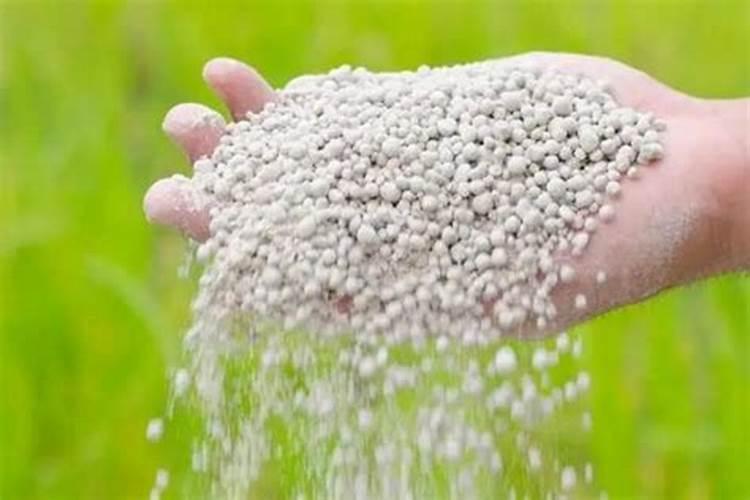 常见的中量元素肥料有哪些？怎么用？