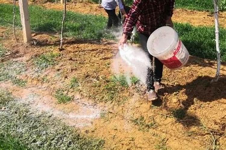 玉米底肥一次性施肥 氮磷钾 各用多少？