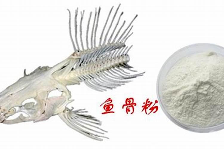骨粉和鱼粉有什么区别
