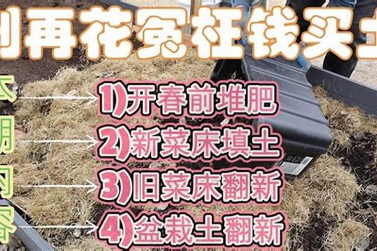 盆载植物伤肥害了怎么办