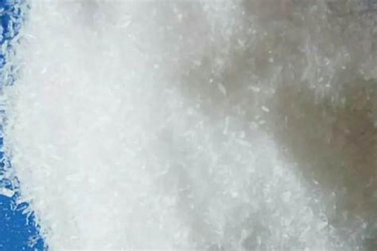 花草换盆多久才能生根 花草换盆生根的时间