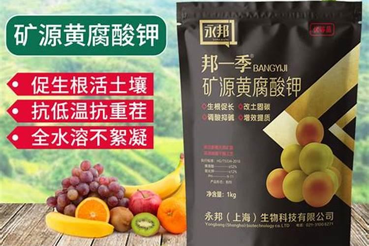 微生物菌剂的作用和使用方法