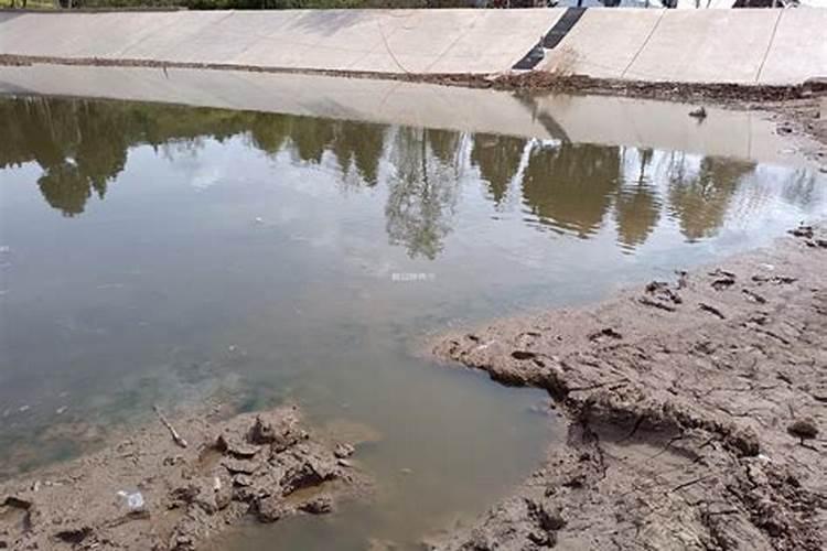 大量元素水溶肥对花卉绿植的用法