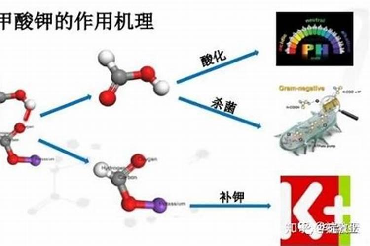 来聊一下钾肥的种类