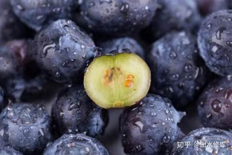 蓝莓结果期施什么肥