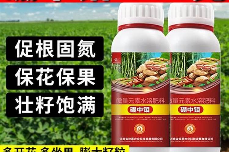 钼可以促进大豆根系的发育,大豆怎么施用钼肥？