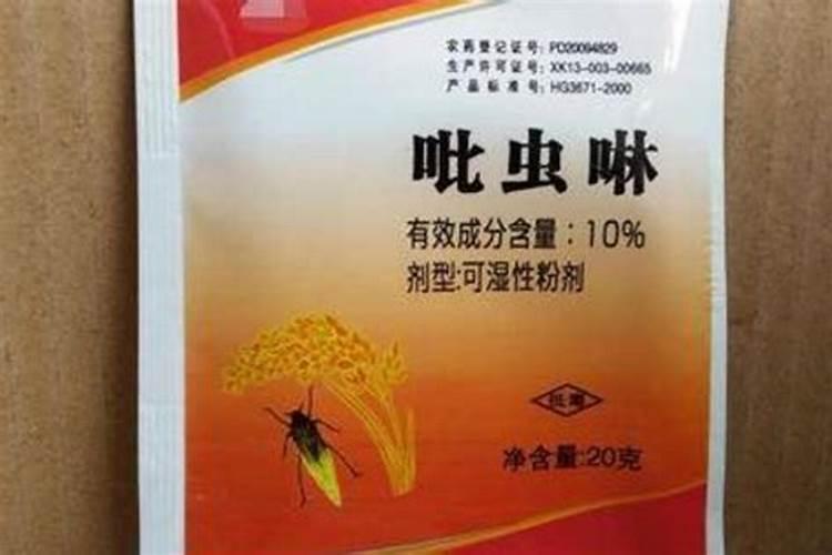 空心菜多久施一次肥(需要什么肥料)