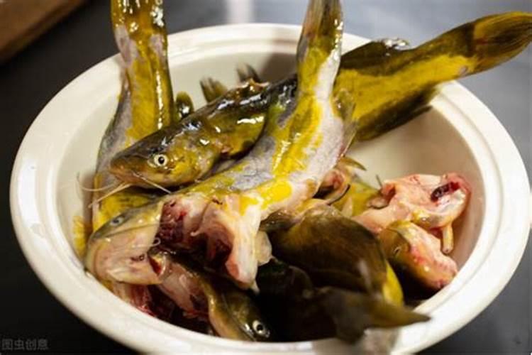 鱼蛋白肥如何辨别好坏？