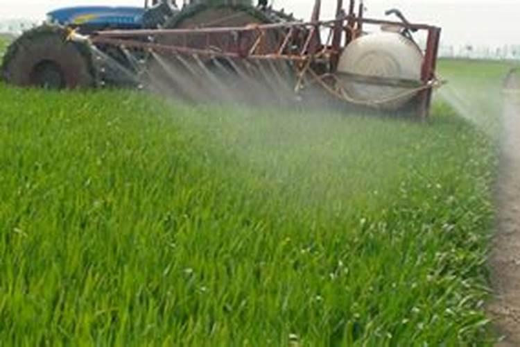 磷酸二氢铵叶面肥能和杀菌剂杀虫剂混用吗