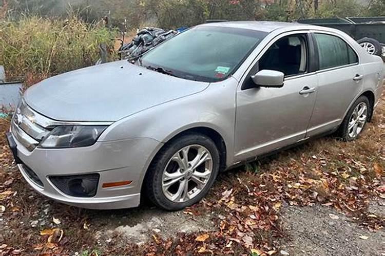 杨树叶有什么用途