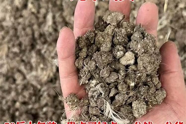 阳光玫瑰软果怎么补救