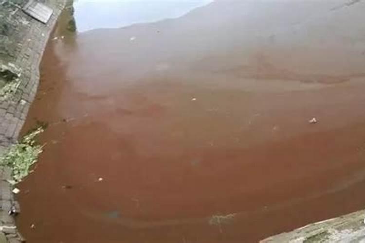 养鱼的水质不好怎么办 调节养鱼水质常见方法