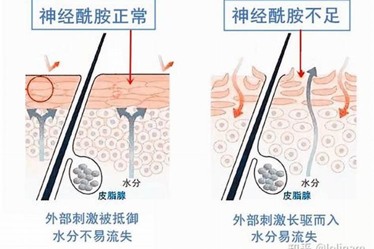 鱼塘如何调节水质,调节鱼塘水质用什么药,水质调节剂