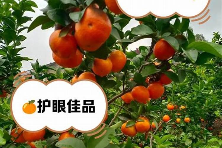 果树能用氯化钾肥料吗 有哪些优缺点