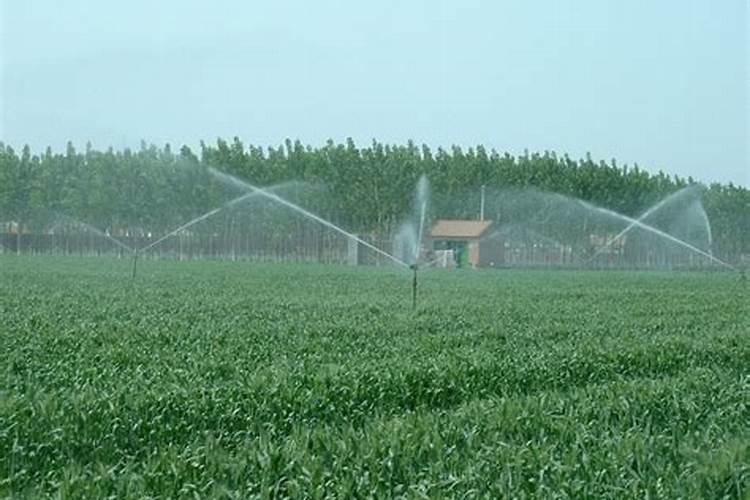 水肥可以打叶面肥吗