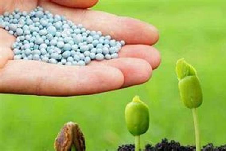 葡萄的叶子变黄了应该怎么办？