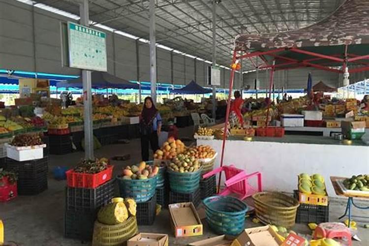 草莓种植技术,草莓苗批发价格