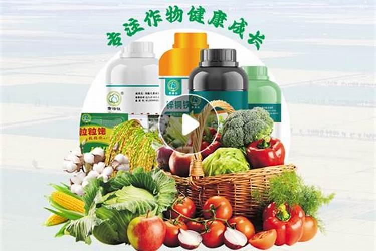 微量元素肥料的种类和酶肥的作用!