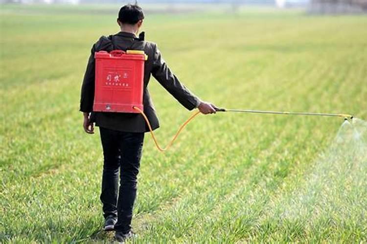 尿素加食盐能除草吗