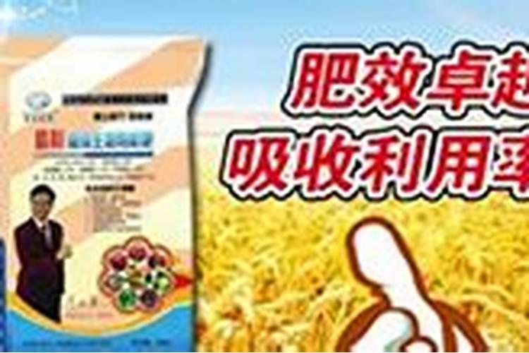 土壤病菌严重的地块上什么复合肥比较好