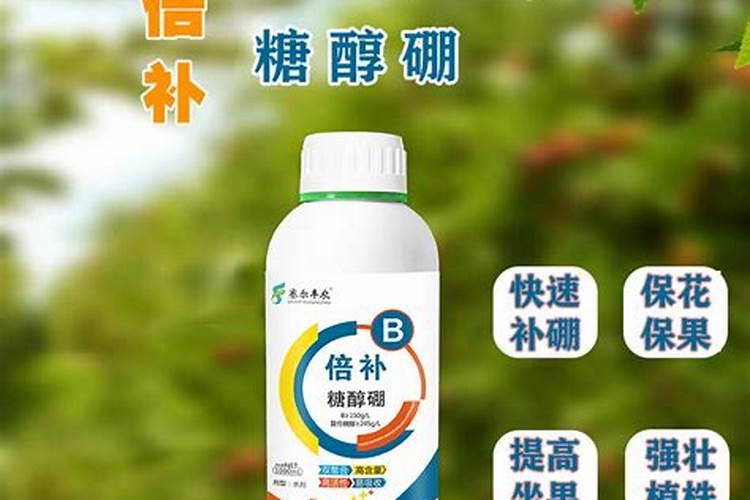 如何施用硼肥？