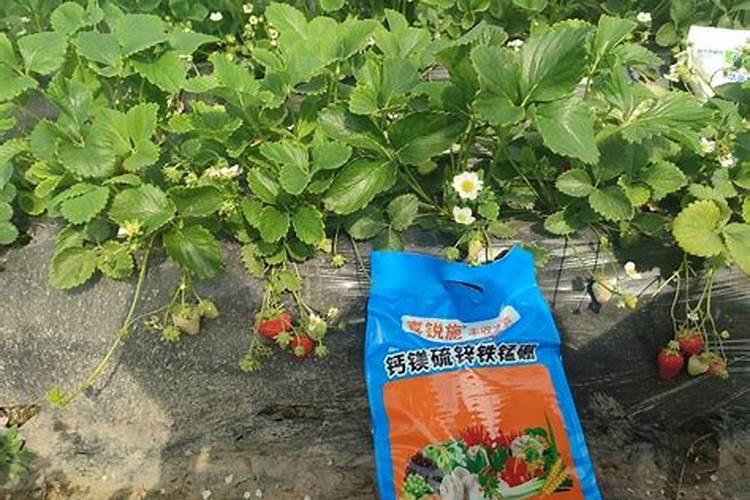 沙土、沙壤土、壤土有什么区别？