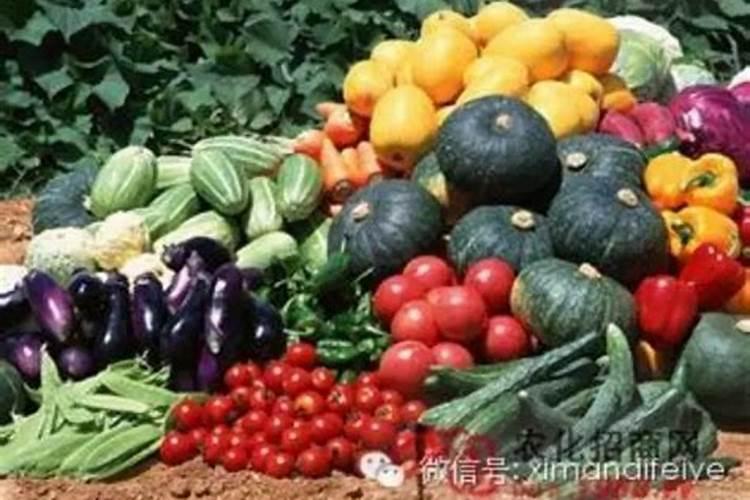 哪些植物适合氮肥