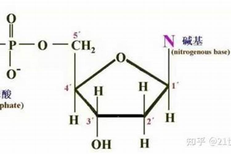 磷肥过量对土壤的危害