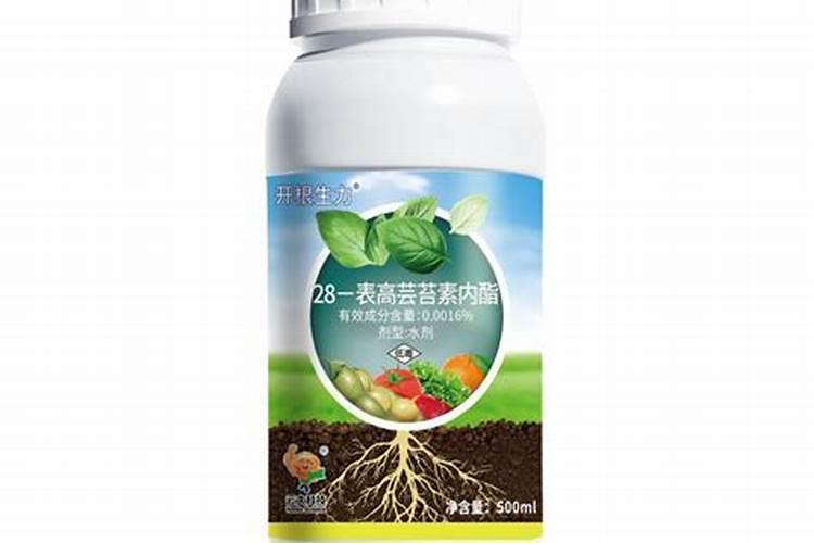 芸苔素抗旱最有效三个方法