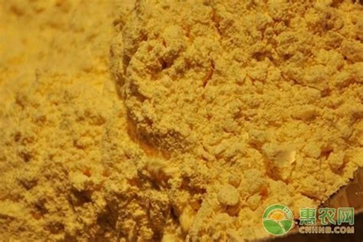 九里香多久开花一次