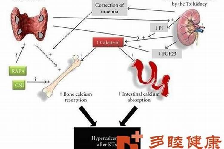 适合两岁宝宝吃的钙有哪些