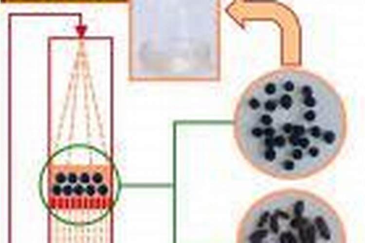 如何正确使用草木灰、尿素和硫酸氨等肥料？