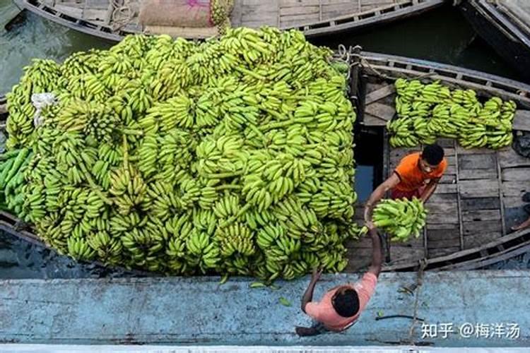 香蕉用什么叶面肥？香蕉什么时候打叶面肥？香蕉促花保果膨大防晒用金泰靓...