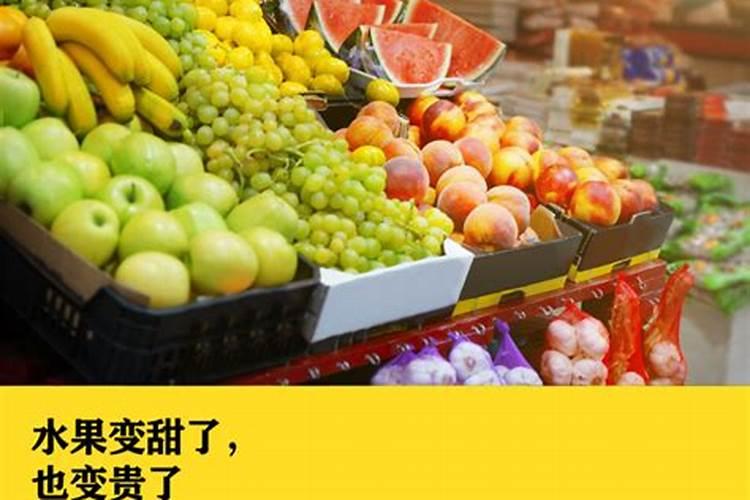 多肉可以水培生根吗