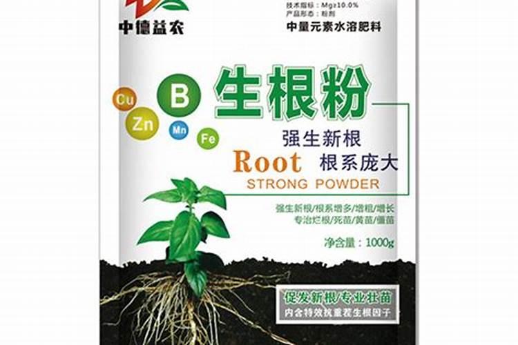 盆栽柠檬施什么肥最好