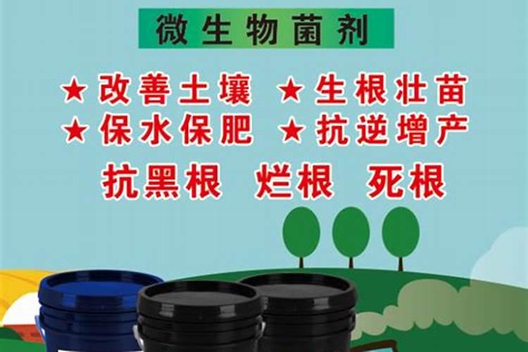 油脂发酵过程及产物