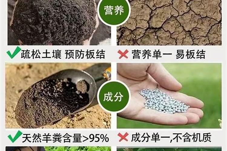 有机肥很臭对身体有影响吗