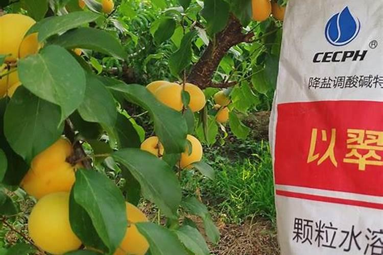 植物缺素症图谱 植物缺素症图谱最全