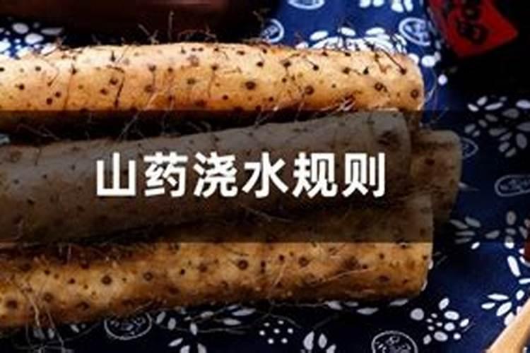 种植山药什么时间冲钾肥最好？