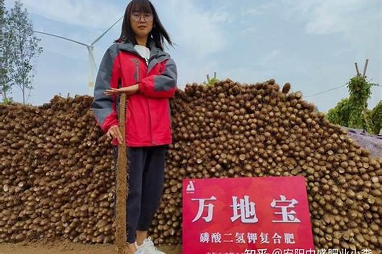 山药怎么增粗